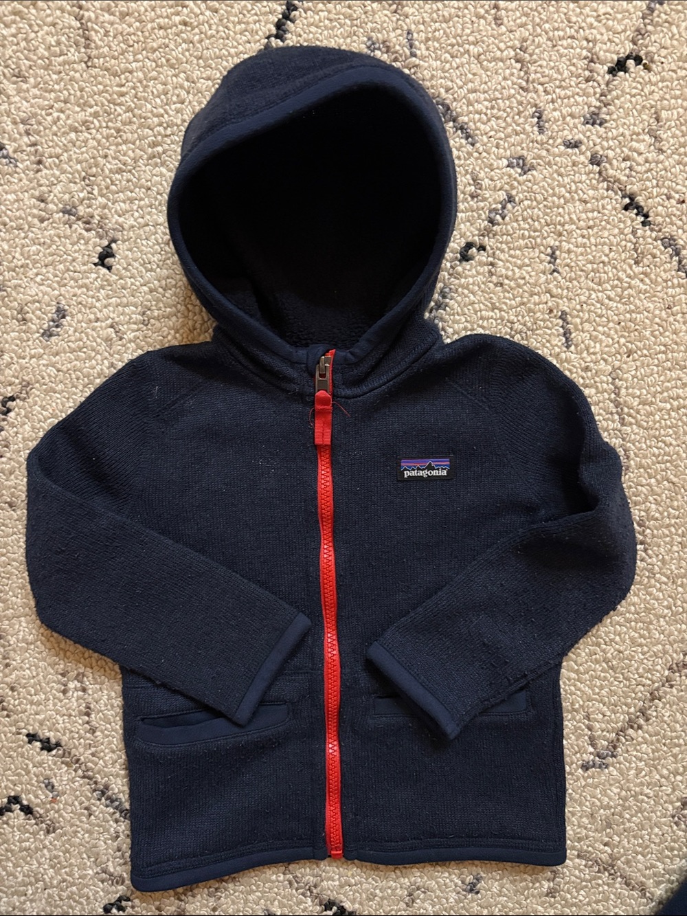 Patagonia Kids fleece jacket (2T)